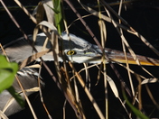 Everglades National Park