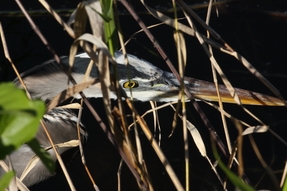 Everglades National Park