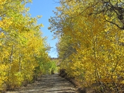 Humboldt-Toiyabe National Forest/Santa Rosa Ranger District