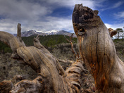 Sunset Crater Volcano National Monument