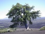Craters of the Moon National Monument