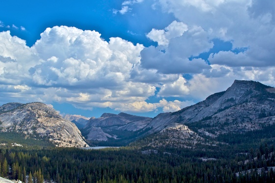 Yosemite National Park