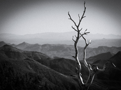 Tonto National Forest