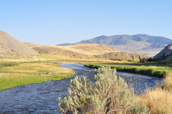 yellowstone 