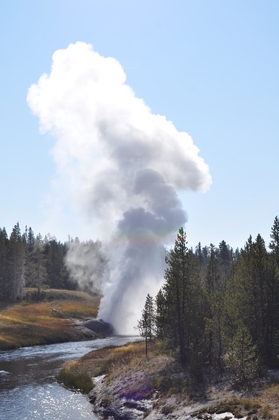 yellowstone 