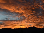 Inyo National Forest