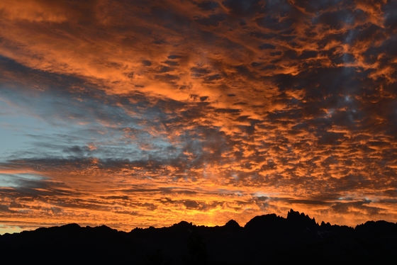 Inyo National Forest
