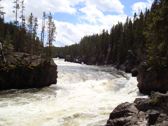 Yellowstone NP