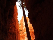Bryce Canyon NP