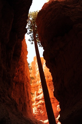 Bryce Canyon NP