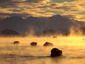 Chugach National Forest
