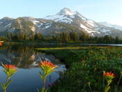 Mount Jefferson Wilderness