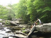 Julian Price Campgrounds