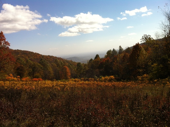Shenandoah National Park