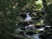 Great Smokey Mountains National Park