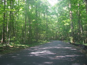 Great Smokey Mountain National Park