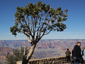 Grand Canyon National Park
