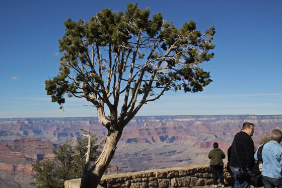 Grand Canyon National Park
