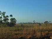 Big Cypress National Preserve
