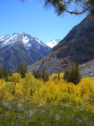 Big Pine Creek