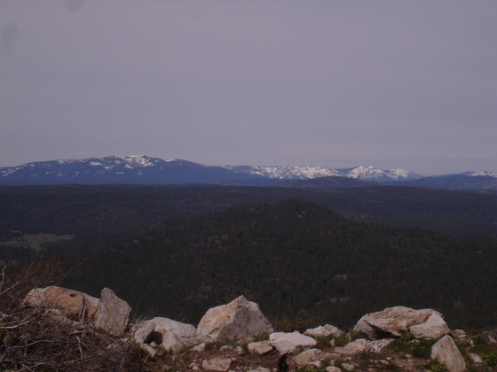 Plumas National Forest