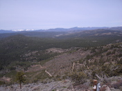 PLUMAS NATIONAL FOREST