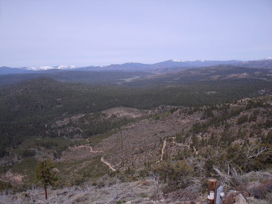 PLUMAS NATIONAL FOREST