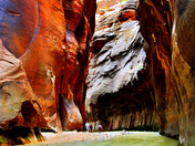 Zion National Park