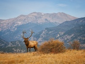 Rocky Mountain National Park