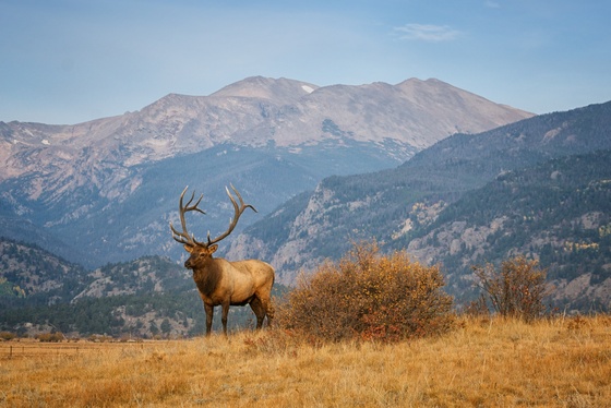 Rocky Mountain National Park