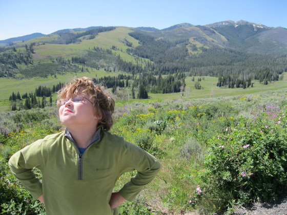 Yellowstone