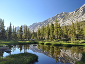 Inyo National Forest