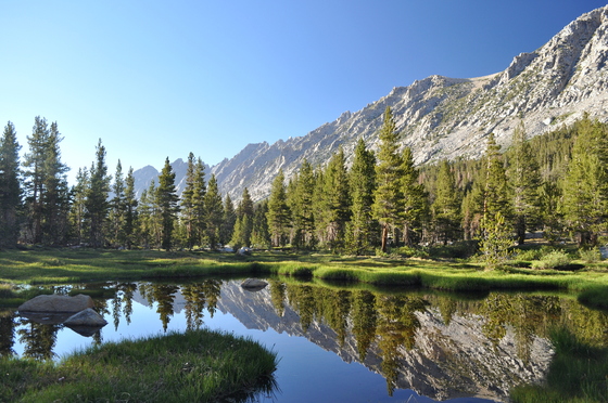 Inyo National Forest