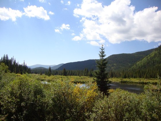 Arapaho Roosevelt National Forest