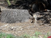 Yosemite National park