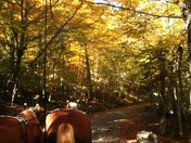 Acadia National Park