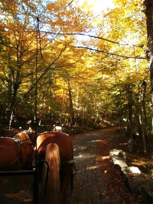 Acadia National Park