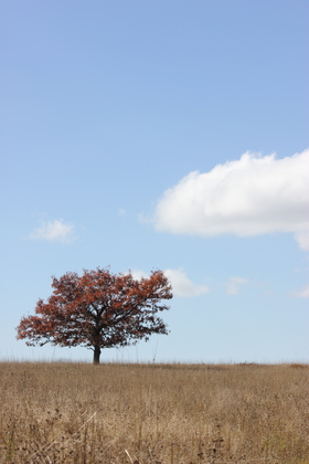 Shenandoah National Park