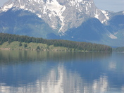 Yellowstone/Grand Teton NP