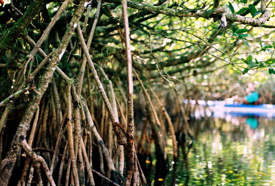 Everglades National Park