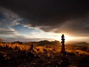 Big Bend National Park