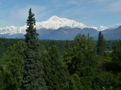 Denali National Park