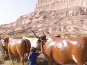 ScottsBluff National Momument