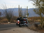 Saguaro National Park