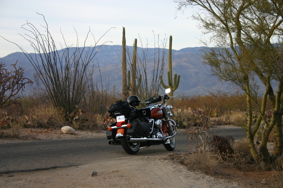 Saguaro National Park
