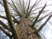  Golden Gate National Recreation Area