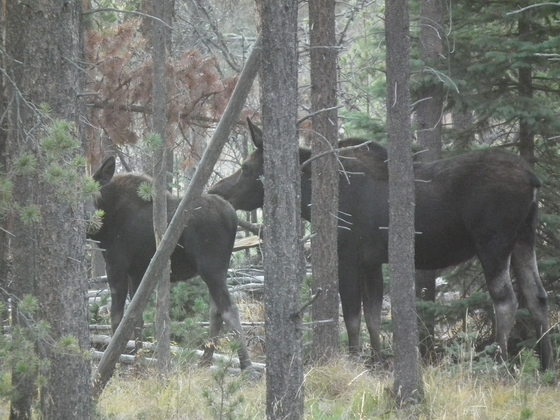 Rocky Mountain National Park