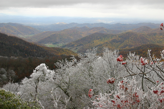 Blue Ridge Parkway in NC
