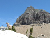 Glacier National Park