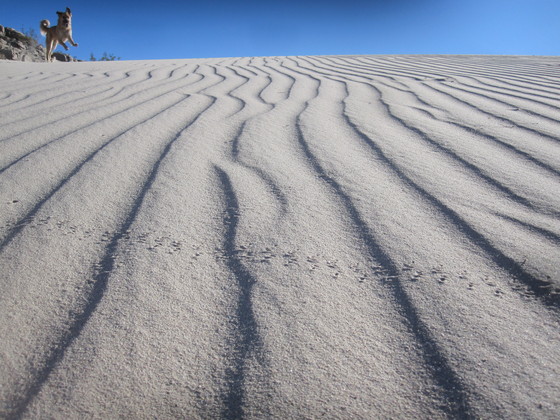 Mojave Preserve